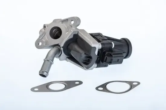 AGR-Ventil BorgWarner (Wahler) 710979R Bild AGR-Ventil BorgWarner (Wahler) 710979R