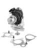 AGR-Ventil BorgWarner (Wahler) 710980D Bild AGR-Ventil BorgWarner (Wahler) 710980D