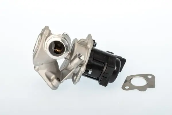 AGR-Ventil BorgWarner (Wahler) 711020D