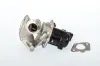 AGR-Ventil BorgWarner (Wahler) 711020D