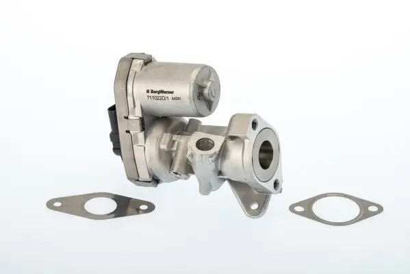 AGR-Ventil BorgWarner (Wahler) 711022D