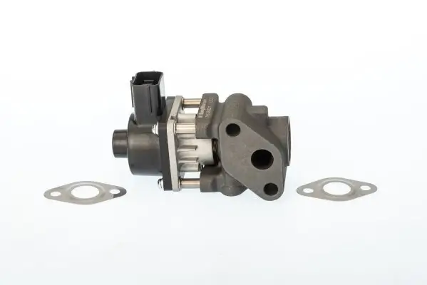 AGR-Ventil BorgWarner (Wahler) 711024D