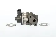 AGR-Ventil BorgWarner (Wahler) 711024D