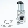 AGR-Ventil BorgWarner (Wahler) 711031D/1