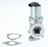 AGR-Ventil BorgWarner (Wahler) 711031D