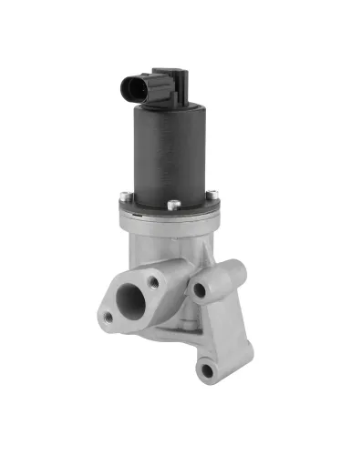 AGR-Ventil BorgWarner (Wahler) 712005R Bild AGR-Ventil BorgWarner (Wahler) 712005R