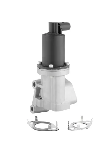 AGR-Ventil BorgWarner (Wahler) 712005R Bild AGR-Ventil BorgWarner (Wahler) 712005R