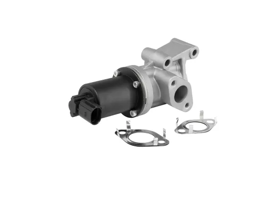 AGR-Ventil BorgWarner (Wahler) 712005R Bild AGR-Ventil BorgWarner (Wahler) 712005R