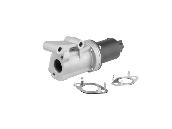 AGR-Ventil BorgWarner (Wahler) 712005R Bild AGR-Ventil BorgWarner (Wahler) 712005R