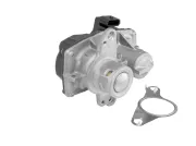 AGR-Ventil BorgWarner (Wahler) 712008R