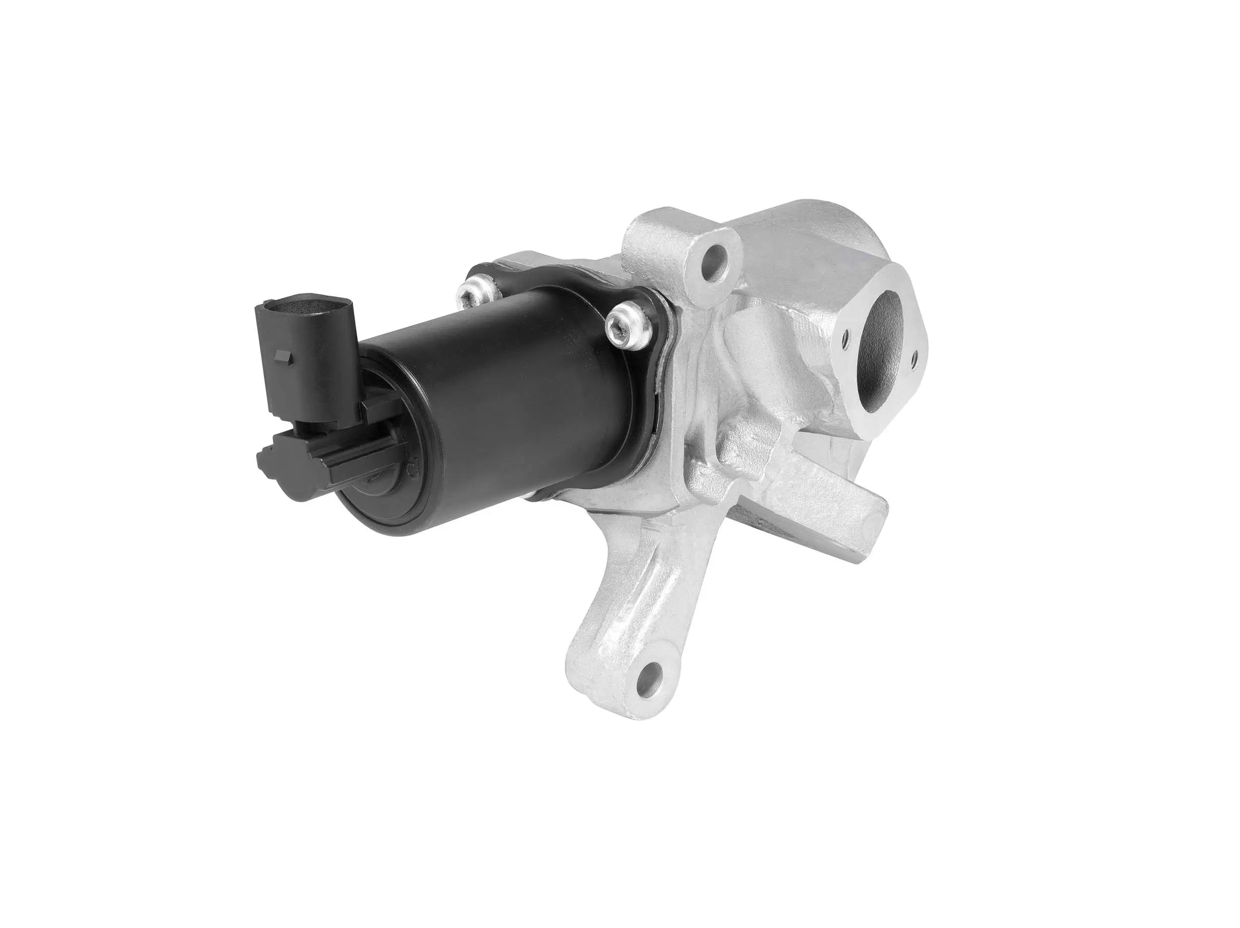 AGR-Ventil BorgWarner (Wahler) 712013R