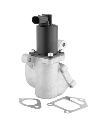 AGR-Ventil BorgWarner (Wahler) 712013R Bild AGR-Ventil BorgWarner (Wahler) 712013R