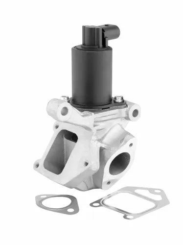 AGR-Ventil BorgWarner (Wahler) 712013R Bild AGR-Ventil BorgWarner (Wahler) 712013R