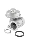 AGR-Ventil BorgWarner (Wahler) 712052D