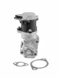 AGR-Ventil BorgWarner (Wahler) 712057D