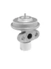 AGR-Ventil BorgWarner (Wahler) 712062D Bild AGR-Ventil BorgWarner (Wahler) 712062D