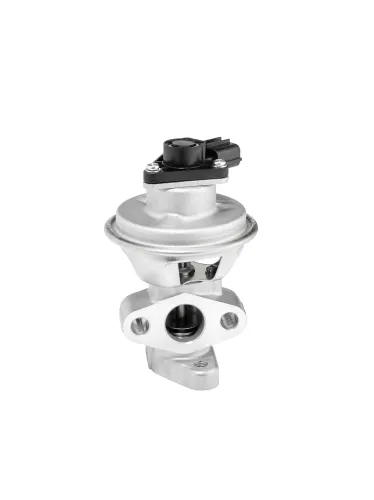 AGR-Ventil BorgWarner (Wahler) 712063D Bild AGR-Ventil BorgWarner (Wahler) 712063D