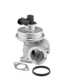 AGR-Ventil BorgWarner (Wahler) 712064D