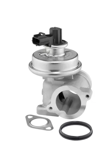 AGR-Ventil BorgWarner (Wahler) 712064D Bild AGR-Ventil BorgWarner (Wahler) 712064D
