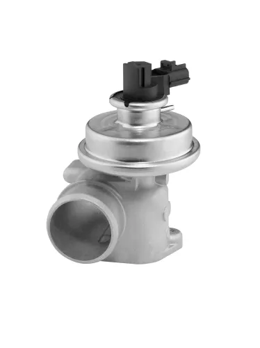 AGR-Ventil BorgWarner (Wahler) 712064D Bild AGR-Ventil BorgWarner (Wahler) 712064D