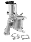 AGR-Ventil BorgWarner (Wahler) 712066D