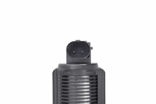 AGR-Ventil BorgWarner (Wahler) 712070D Bild AGR-Ventil BorgWarner (Wahler) 712070D