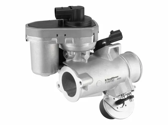AGR-Ventil BorgWarner (Wahler) 712072D Bild AGR-Ventil BorgWarner (Wahler) 712072D