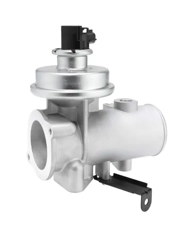 AGR-Ventil BorgWarner (Wahler) 712080D Bild AGR-Ventil BorgWarner (Wahler) 712080D