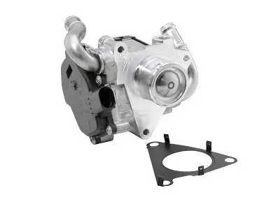 AGR-Ventil BorgWarner (Wahler) 72147559D