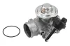 AGR-Ventil BorgWarner (Wahler) 7223D