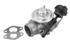 AGR-Ventil BorgWarner (Wahler) 7301D/1