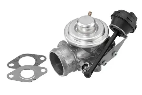 AGR-Ventil BorgWarner (Wahler) 7301D/1 Bild AGR-Ventil BorgWarner (Wahler) 7301D/1