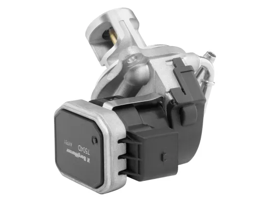 AGR-Ventil BorgWarner (Wahler) 7504D Bild AGR-Ventil BorgWarner (Wahler) 7504D