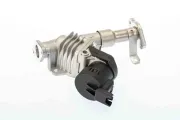 AGR-Ventil BorgWarner (Wahler) 7574D