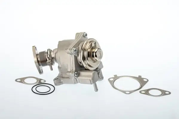 AGR-Ventil BorgWarner (Wahler) 7631D