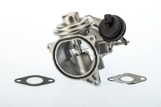 AGR-Ventil BorgWarner (Wahler) 7650D Bild AGR-Ventil BorgWarner (Wahler) 7650D