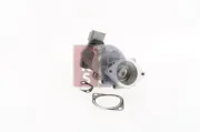 AGR-Ventil AKS DASIS 025002N