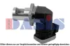 AGR-Ventil 12 V AKS DASIS 125017N