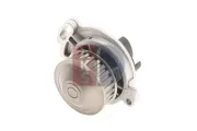 Wasserpumpe, Motorkühlung AKS DASIS 570005N
