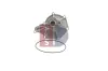 Wasserpumpe, Motorkühlung AKS DASIS 570036N