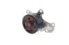 Wasserpumpe, Motorkühlung AKS DASIS 570146N Bild Wasserpumpe, Motorkühlung AKS DASIS 570146N