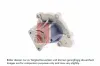 Wasserpumpe, Motorkühlung AKS DASIS 570467N Bild Wasserpumpe, Motorkühlung AKS DASIS 570467N