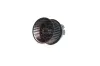 Innenraumgebläse 12 V AKS DASIS 740217N