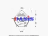 Thermostat, Kühlmittel AKS DASIS 751795N