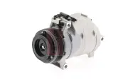 Kompressor, Klimaanlage 12 V AKS DASIS 850290N