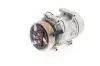 Kompressor, Klimaanlage 12 V AKS DASIS 850844N
