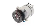 Kompressor, Klimaanlage 12 V AKS DASIS 850950N