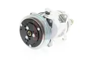 Magnetkupplung, Klimakompressor 12 V AKS DASIS 855013N