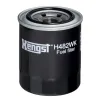 Kraftstofffilter HENGST FILTER H482WK