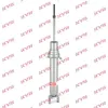 Sto&szlig;d&auml;mpfer Vorderachse KYB 551115